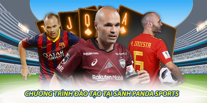 Chương Trình Đào Tạo Tại Sảnh Panda Sports