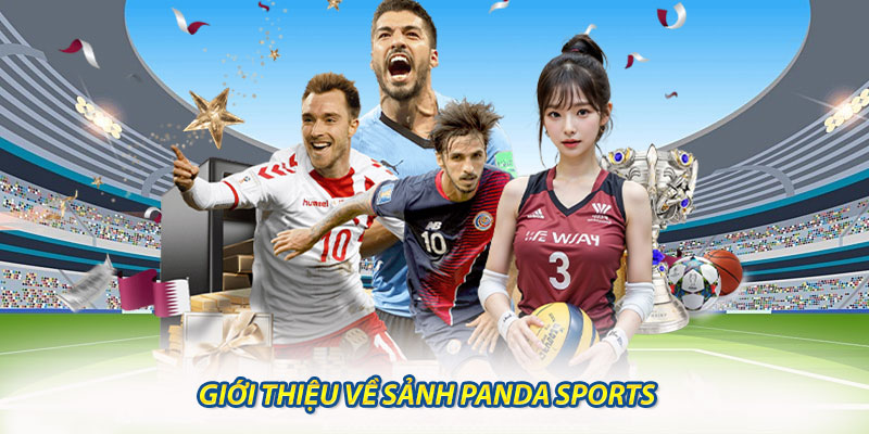 Giới Thiệu Về Sảnh Panda Sports