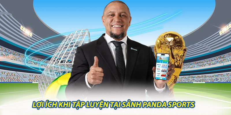 Lợi Ích Khi Tập Luyện Tại Sảnh Panda Sports