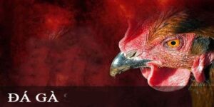 Đá Gà Casino tại 789bet
